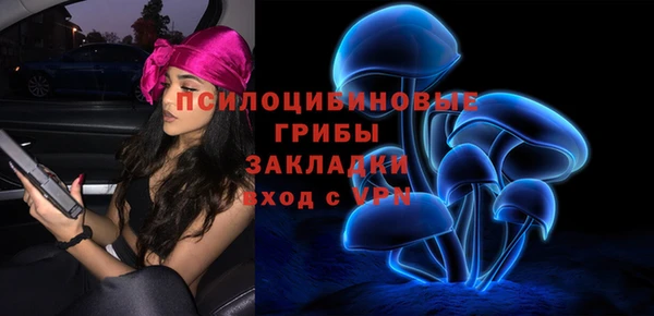 Альфа ПВП Алзамай