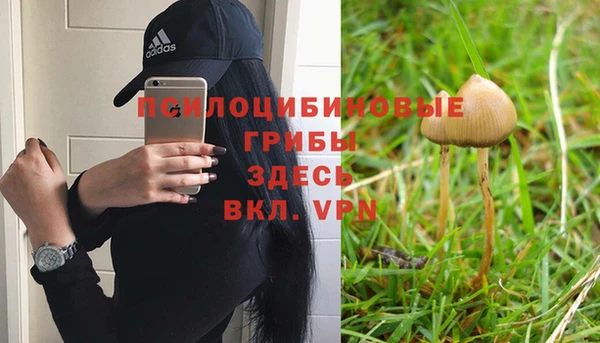 Альфа ПВП Алзамай