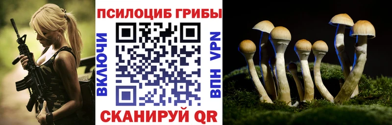 купить  цена  Нижний Новгород  Псилоцибиновые грибы мицелий 